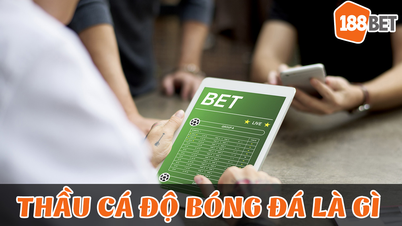 Thầu cá độ bóng đá là gì